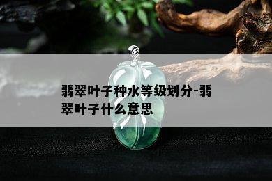 翡翠叶子种水等级划分-翡翠叶子什么意思