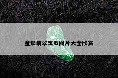 金银翡翠玉石图片大全欣赏