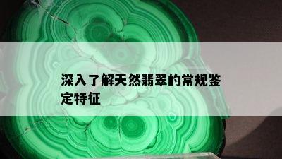 深入了解天然翡翠的常规鉴定特征