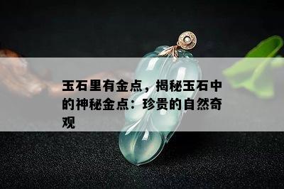 玉石里有金点，揭秘玉石中的神秘金点：珍贵的自然奇观