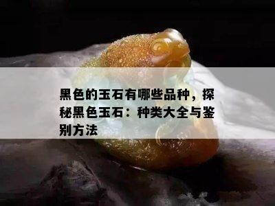 黑色的玉石有哪些品种，探秘黑色玉石：种类大全与鉴别方法