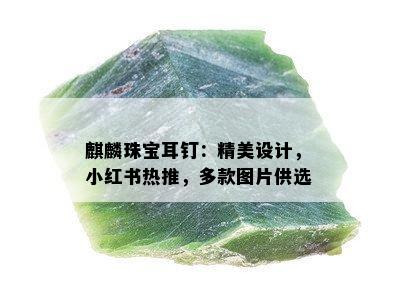 麒麟珠宝耳钉：精美设计，小红书热推，多款图片供选