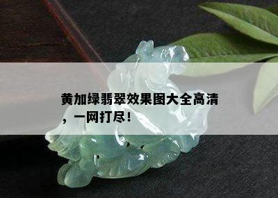 黄加绿翡翠效果图大全高清，一网打尽！