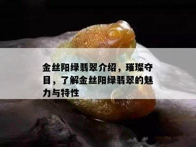 金丝阳绿翡翠介绍，璀璨夺目，了解金丝阳绿翡翠的魅力与特性