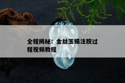 全程揭秘：金丝玉镯注胶过程视频教程