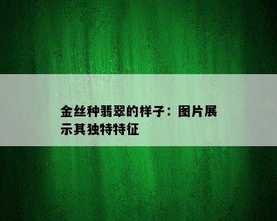 金丝种翡翠的样子：图片展示其独特特征