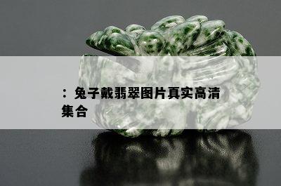 ：兔子戴翡翠图片真实高清集合