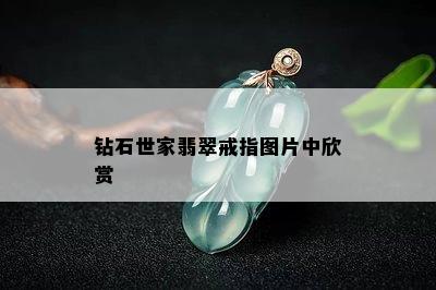 钻石世家翡翠戒指图片中欣赏