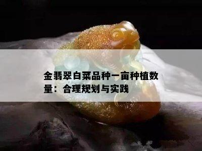 金翡翠白菜品种一亩种植数量：合理规划与实践