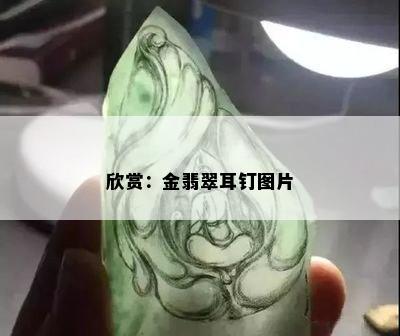 欣赏：金翡翠耳钉图片