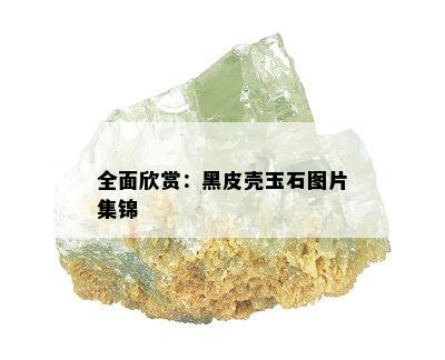 全面欣赏：黑皮壳玉石图片集锦