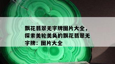 飘花翡翠无字牌图片大全，探索美轮美奂的飘花翡翠无字牌：图片大全