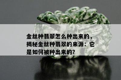 金丝种翡翠怎么种出来的，揭秘金丝种翡翠的来源：它是如何被种出来的？