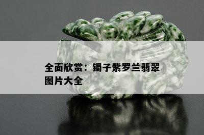 全面欣赏：镯子紫罗兰翡翠图片大全