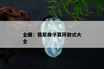 全图：翡翠珠子耳环款式大全