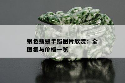 银色翡翠手镯图片欣赏：全图集与价格一览