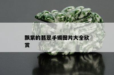 飘紫的翡翠手镯图片大全欣赏