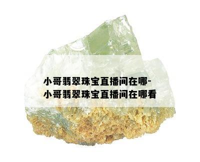 小哥翡翠珠宝直播间在哪-小哥翡翠珠宝直播间在哪看