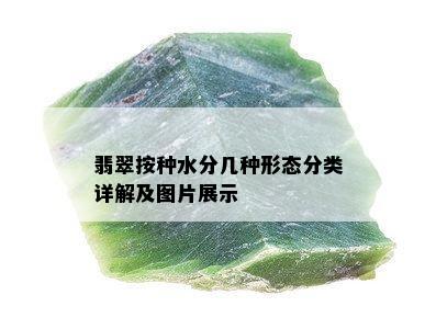 翡翠按种水分几种形态分类详解及图片展示