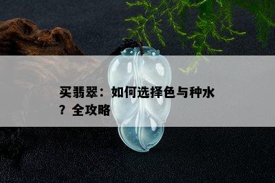 买翡翠：如何选择色与种水？全攻略