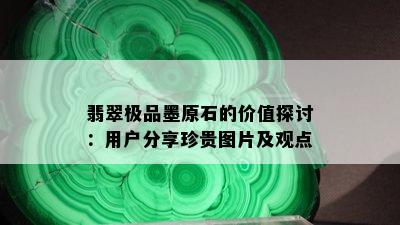 翡翠极品墨原石的价值探讨：用户分享珍贵图片及观点