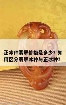 正冰种翡翠价格是多少？如何区分翡翠冰种与正冰种？