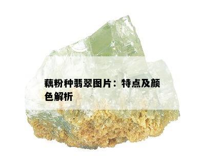 藕粉种翡翠图片：特点及颜色解析