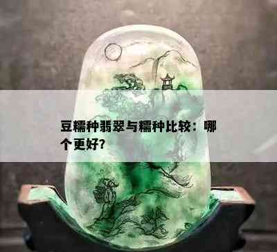 豆糯种翡翠与糯种比较：哪个更好？