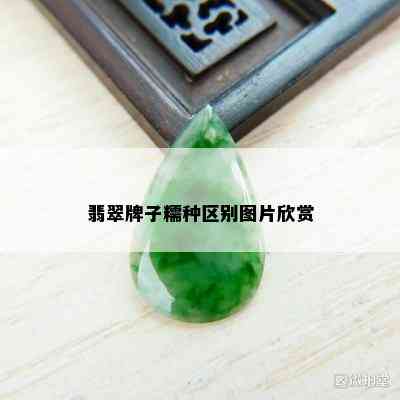 翡翠牌子糯种区别图片欣赏