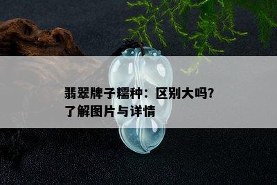 翡翠牌子糯种：区别大吗？了解图片与详情