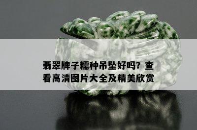 翡翠牌子糯种吊坠好吗？查看高清图片大全及精美欣赏