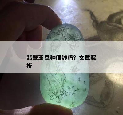 翡翠玉豆种值钱吗？文章解析