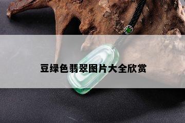 豆绿色翡翠图片大全欣赏