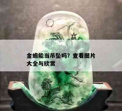 金蟾能当吊坠吗？查看图片大全与欣赏