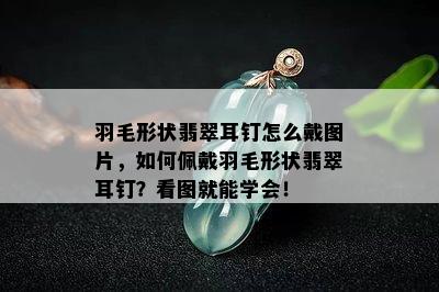 羽毛形状翡翠耳钉怎么戴图片，如何佩戴羽毛形状翡翠耳钉？看图就能学会！