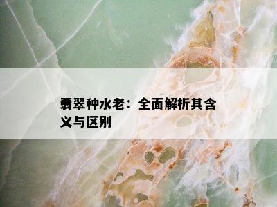 翡翠种水老：全面解析其含义与区别