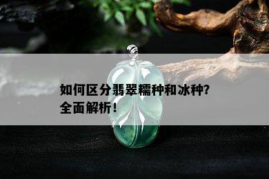 如何区分翡翠糯种和冰种？全面解析！