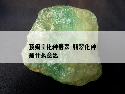 顶级糥化种翡翠-翡翠化种是什么意思