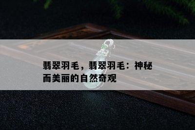 翡翠羽毛，翡翠羽毛：神秘而美丽的自然奇观