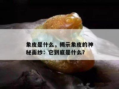 象皮是什么，揭示象皮的神秘面纱：它到底是什么？