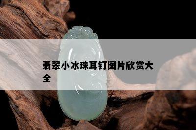 翡翠小冰珠耳钉图片欣赏大全