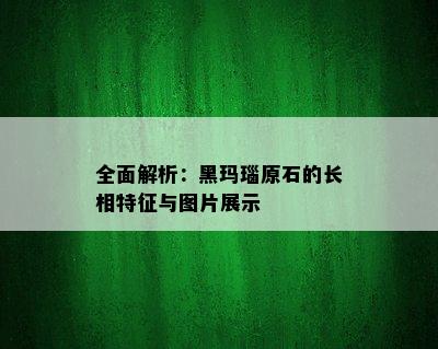 全面解析：黑玛瑙原石的长相特征与图片展示