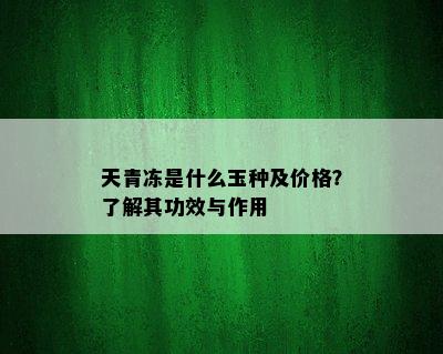 天青冻是什么玉种及价格？了解其功效与作用