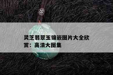 灵芝翡翠玉镶嵌图片大全欣赏：高清大图集