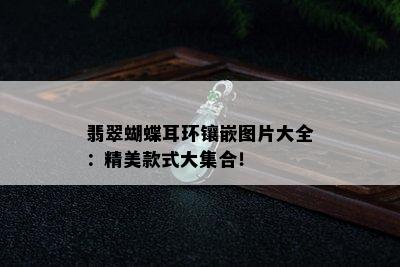 翡翠蝴蝶耳环镶嵌图片大全：精美款式大集合！