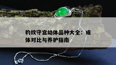 豹纹守宫幼体品种大全：成体对比与养护指南