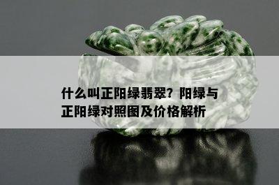 什么叫正阳绿翡翠？阳绿与正阳绿对照图及价格解析