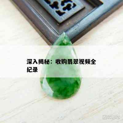 深入揭秘：收购翡翠视频全纪录