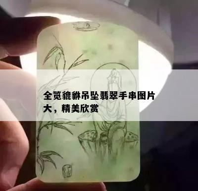 全览貔貅吊坠翡翠手串图片大，精美欣赏