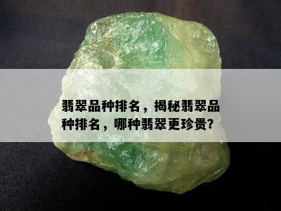 翡翠品种排名，揭秘翡翠品种排名，哪种翡翠更珍贵？